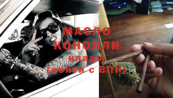 гидра Михайловка