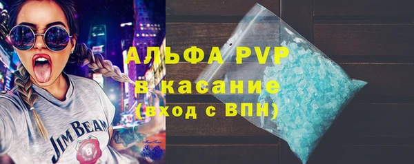 гидра Михайловка