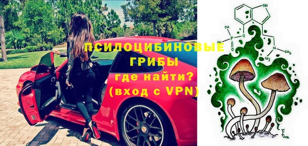 стаф Михайловск