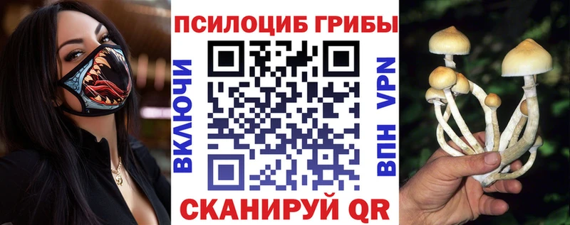 Псилоцибиновые грибы Psilocybine cubensis  купить закладку  Туран 